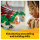LEGO Creator Grüner Drache 31161