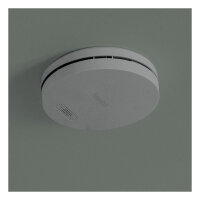 Hombli smarter Rauchmelder grau