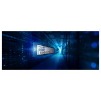 Ent. M.2 480GB Kingston DC2000B NVMe PCIe 4.0 x 4
