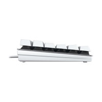 Cherry Keyboard KC 200 MX MX2A Brown [DE] white/silver MX2A BROWN Switch