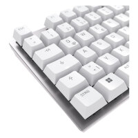 Cherry Keyboard KC 200 MX MX2A Brown [DE] white/silver MX2A BROWN Switch