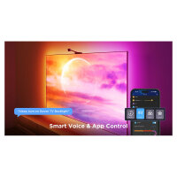 Govee Netflix Envisual TV Backlight 55"-65"