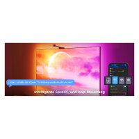 Govee Netflix Envisual TV Backlight 55"-65"