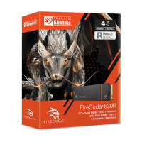 SEAGATE FireCuda 530R 2TB SSD Heatsink PCIe Gen4x4 NVMe M.2
