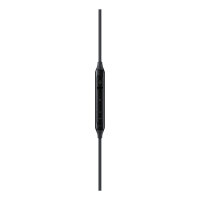 Samsung Earphones USB-C EO-IC100 in-ear black