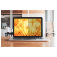 3M Blickschutzfilter für 14" Notebooks 16:10 BP140W1B