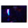 KINGSTON 96GB 6400MT/s DDR5 CL32 DIMM Kit of 2 FURY Renegade RGB XMP