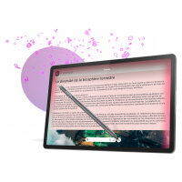 Lenovo Idea Tab Pro 256GB 12RAM 3K Wi-Fi grey