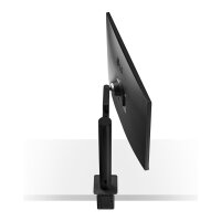 83,3cm/32" (3840x2160) LG UltraFine Ergo 32UN880K-B 16:9 4K UHD IPS