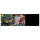 LEGO Icons Französisches Café 10362