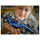 LEGO Speed Champions Williams Racing FW46 F1 Rennauto 77249