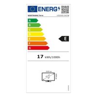 60,5cm/23,8" (1920x1080) TERRA 2427W V2 16:9 FHD VA 5ms 100Hz HDMI DP USB-C Vesa Black