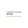 LANCOM R&S UF-360-1Y Full License (1 Jahr)