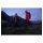 Ledlenser Stirnlampe - MH3 Grün/Weiß