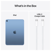 Apple iPad 11 Wi-Fi + Cellular 256GB (blau) 11.Gen