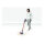 Dyson V10 Absolute Kabelloser Staubsauger (Nickel/Kupfer)