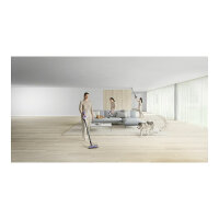 Dyson V8 Advanced Kabelloser Staubsauger (Silber/Nickel)