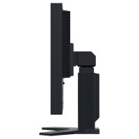 EIZO 54.1cm (21.3") S2134-BK 4:3 DVI+DP+USB IPS black Lift