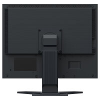 EIZO 54.1cm (21.3") S2134-BK 4:3 DVI+DP+USB IPS black Lift