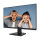 MSI PRO MP275QDE 69cm (27") IPS WQHD 4ms 100Hz