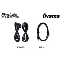 19.0/48.3cm iiyama ProLite E1980S *schwarz* 5:4