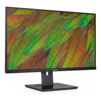 Philips 80.0cm (31.5") 32B1N3800 16:09 HDMI+DP+USB black