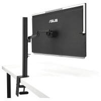 ASUS ZenScreen MB249C 60.5cm (16:9) FHD HDMI