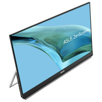 ASUS ZenScreen MB249C 60.5cm (16:9) FHD HDMI