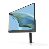 ASUS ZenScreen MB249C 60.5cm (16:9) FHD HDMI