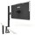 ASUS ZenScreen MB249C 60.5cm (16:9) FHD HDMI
