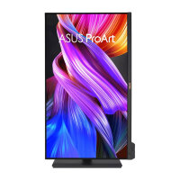 ASUS ProArt PA32UCXR 81.28cm (16:9) UHD HDMI DP