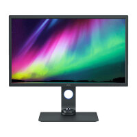 BenQ 81.3cm SW321C 16:9 DP/USB-C/2xHDMI gr. lift/piv.UHD