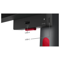 Lenovo ThinkVision P49w-30 (49") DQHD HDMI/DP/USB-C/DOC