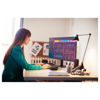 Philips 68.5cm (27.0") 27E2N1100L 16:09 HDMI+D-Sub VA black