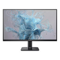 Philips 68.5cm (27.0") 27E2N1100L 16:09 HDMI+D-Sub VA black