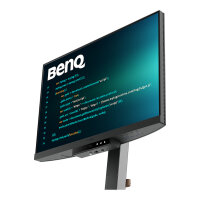 BenQ RD240Q