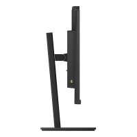 329P1H 80.01CM 31.5IN IPS