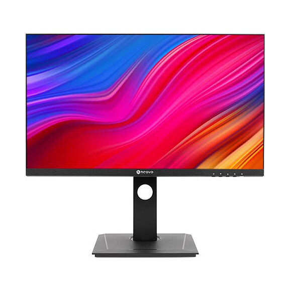 DW-2401 24IN IPS 2560X1440 300