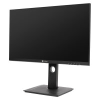 DW-2401 24IN IPS 2560X1440 300