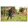 Bosch AdvancedGrassCut 36V-33 solo Akku-Rasentrimmer