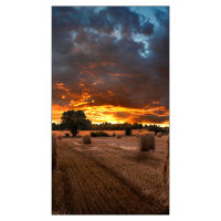 Samsung Smart Signage VM46B-U 116.80cm(46") 3.5mm B-to-B (Speditionsversand)