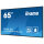 IIYAMA 164.0cm(65") LH6560UHS-B2AG 16:9 3xHDMI+2xUSB Spk (Speditionsversand)