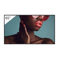 FW-65BZ40L 65INCH PRO