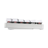 Cherry MX 8.2 Wireless Keyboard TKL WL (without suitcase)