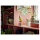 LEGO Creator 31136 Exotischer Papagei