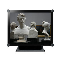 AG neovo TX-1502 38.1cm 4:3 10 Point Touch black