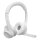 Logitech Zone 300