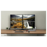 D I-TEC Dockingstation Quattro Display
