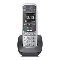 Gigaset E560 platin int.
