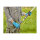 Gardena Akku-Teleskop-Baumschere HighCut 360 P4A 2Ah/18V